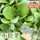 【ふるさと納税】福井県坂井市三国町 村上農園産 小松菜 9パック入り 約1.35kg (150g × 9袋)