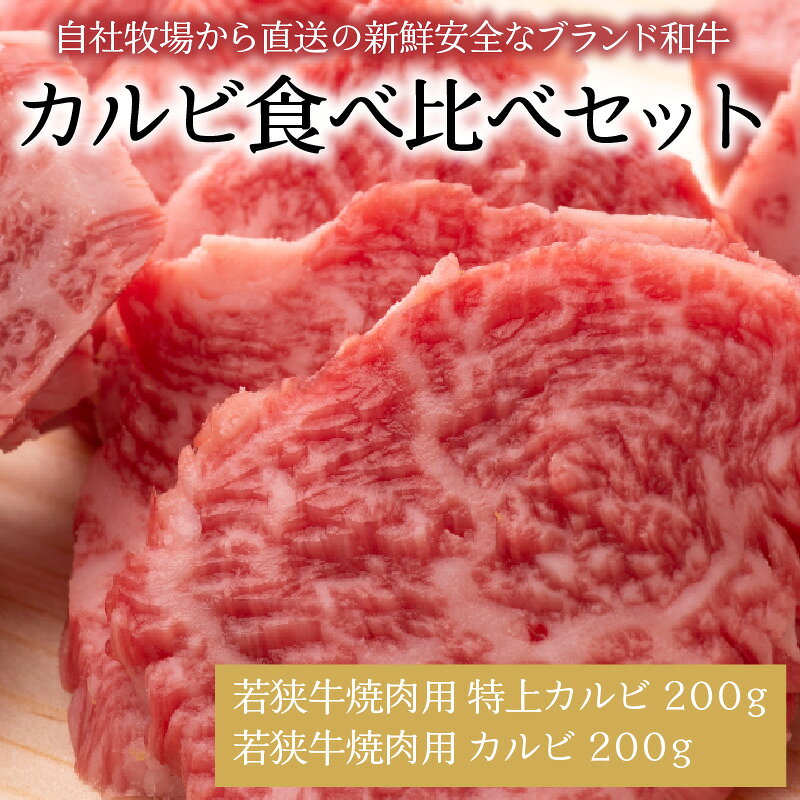 【ふるさと納税】肉 牛 焼肉 坂井市産 福井県産 (国産和牛)若狭牛 カルビ食べ比べセット 計400g f182109-sakai-10000117 福井県坂井市 サンプル画像2