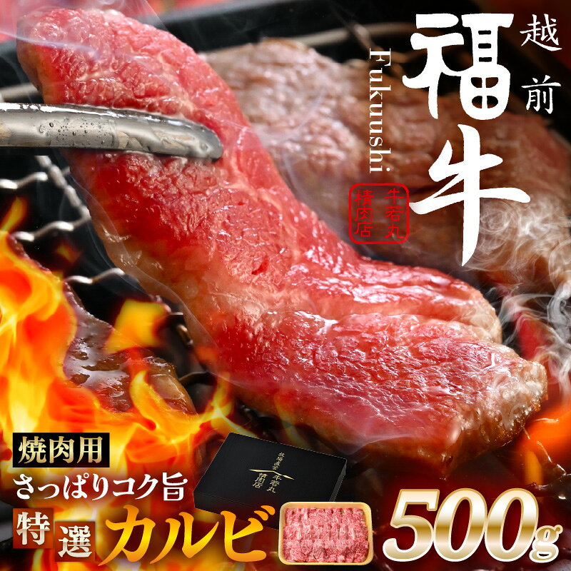 【ふるさと納税】 希少 越前福牛 さっぱりコク旨 特選カルビ 焼肉用 500g 焼肉 焼き肉 赤身肉 国産牛ブランド牛 赤身和牛 かるび 肉 牛 牛肉 冷凍 贈答 贈り物 ギフト