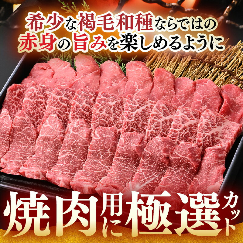 【ふるさと納税】 希少 越前福牛 旨み極まる 赤身焼肉盛り合わせ 600g 焼き肉 国産和牛 赤身肉 ブランド牛 赤身和牛 肉 牛 牛肉 キャンプ バーベキュー BBQ 冷凍 個包装 贈答 贈り物 ギフト f182109-sakai-10002937 福井県坂井市 サンプル画像3