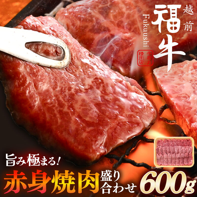 希少 越前福牛 旨み極まる 赤身焼肉盛り合わせ 600g 焼き肉 国産和牛 赤身肉 ブランド牛 赤身和牛 肉 牛 牛肉 キャンプ バーベキュー BBQ 冷凍 個包装 贈答 贈り物 ギフト