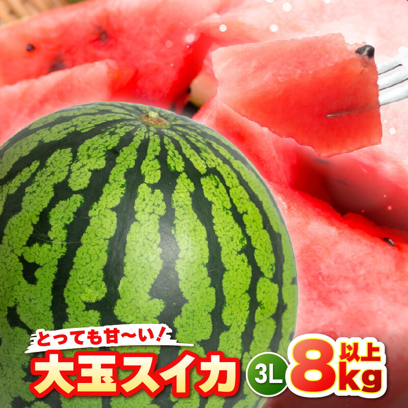 【ふるさと納税】【先行予約】坂井市三里浜砂丘地産 大玉スイカ 3Lサイズ 1玉（8kg以上） 【2027年6月上旬以降順次発送予定】 【スイカ 西瓜 すいか デザート 果物 くだもの 夏 ジューシー 高糖度 お取り寄せ グルメ 産地直送】