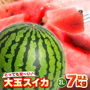 【ふるさと納税】【先行予約】坂井市三里浜砂丘地産 大玉スイカ 2Lサイズ 1玉(7kg以上) 【2026年6月上旬以降順次発送予定】 【スイカ 西瓜 すいか デザート 果物 くだもの 夏 ジューシー 高糖度 お取り寄せ グルメ 産地直送】