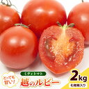 【ふるさと納税】【先行予約】坂井市砂丘地のとっても甘い フルーツトマト 越のルビー 2kg 化粧箱入り【2025年10月上旬以降順次発送予定】【トマト とまと 中玉トマト ミディトマト リコピン 豊富 野菜 生野菜 甘い 高糖度 産地直送 ギフト 贈り物 贈答】