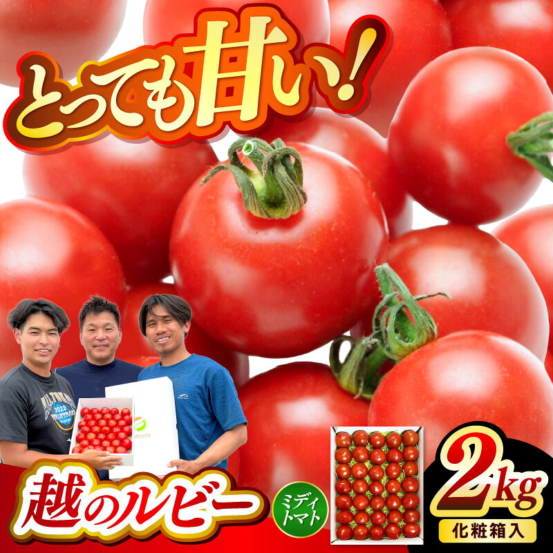 【ふるさと納税】【先行予約】坂井市砂丘地のとっても甘い フルーツトマト 越のルビー 2kg 化粧箱入り【2026年10月上旬以降順次発送予定】【トマト とまと 中玉トマト ミディトマト リコピン 豊富 野菜 生野菜 甘い 高糖度 産地直送 ギフト 贈り物 贈答】