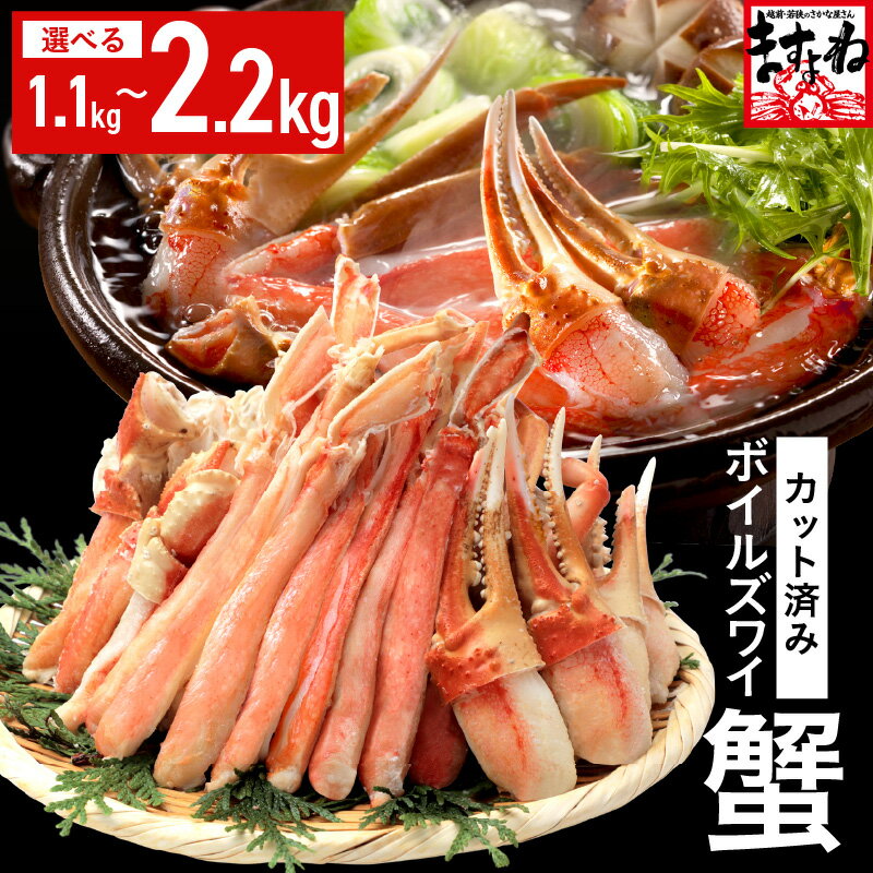 【ふるさと納税】 カット済み! ボイルズワイガニ むき身セット【選べる内容量:1.1kg / 2.2kg】 むき身加工・特大3Lサイズ以上! 【 ズワイガニ ず...