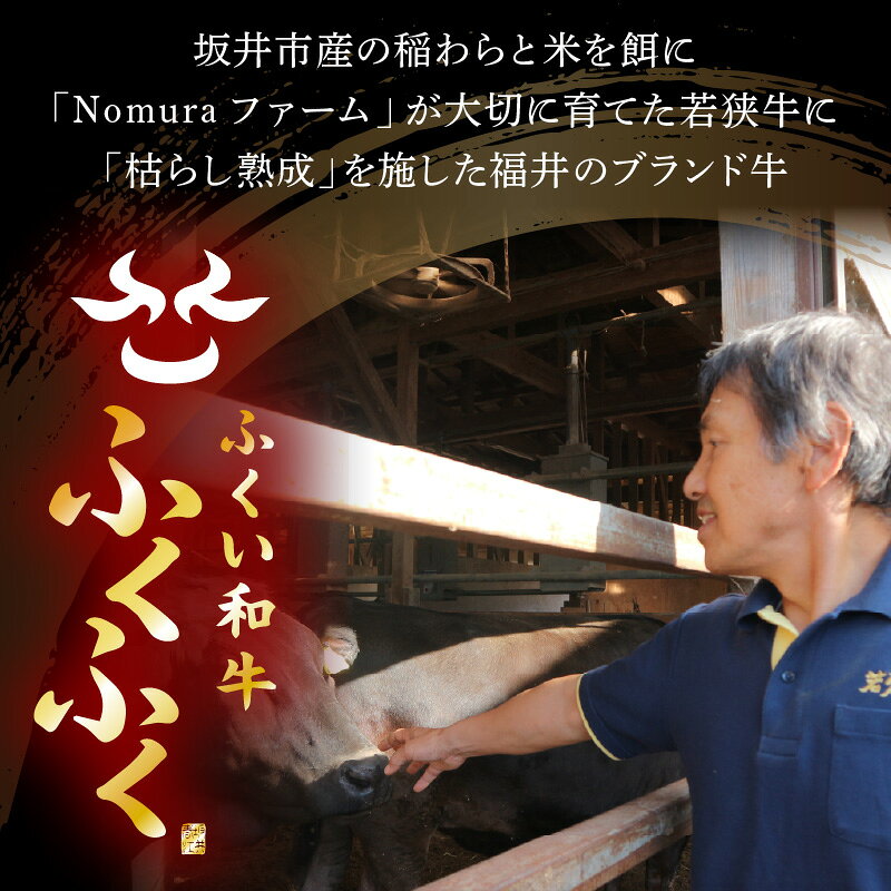 【ふるさと納税】若狭牛ハンバーグ100g × 5個 ナカノ特製100％和牛の極旨品！！ 本格派ハンバーグ！【ハンバーグ 若狭牛 国産和牛 黒毛和牛 黒毛和種 ブランド牛 和牛 肉 牛 牛肉 坂井市 福井県産 国産 冷凍 人気】 f182109-sakai-10000846 福井県坂井市 サンプル画像3