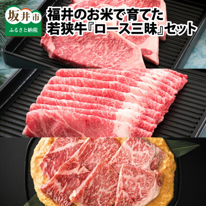 福井のお米で育てた若狭牛 『ロース三昧』～サーロイン240g×3枚/すき焼き用ロース3人前/ロースみそ漬け6枚 3点セット～ 【ステーキ肉 味噌漬け 若狭牛 国産和牛 黒毛和牛 黒毛和種 ブランド牛 和牛 牛肉 国産】