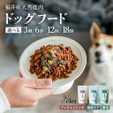 【ふるさと納税】愛犬の美容 健康に 国産 無添加 プレミアム ドッグフード ele't セット 天然 鹿肉使用【選べる内容量:3個 / 6個 / 12個 / 1...