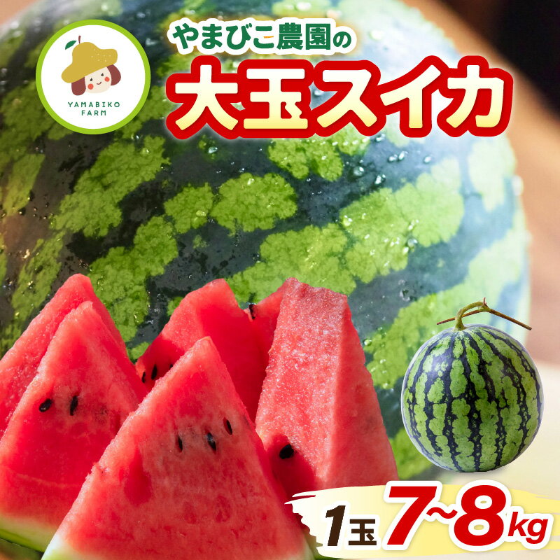 [先行予約]やまびこ農園の大玉スイカ 1玉 (7~8kg) [2026年6月中旬以降順次発送予定] [スイカ 西瓜 すいか デザート 果物 くだもの 夏 ジューシー 高糖度 お取り寄せ グルメ 産地直送]