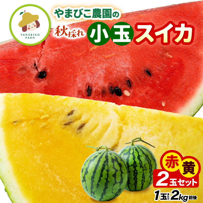 [先行予約]やまびこ農園の秋の赤と黄の小玉スイカ 食べ比べセット 合計2玉入り (1玉当たり:2kg前後) [2026年9月中旬以降順次発送予定] [スイカ 西瓜 すいか 小玉 デザート 果物 くだもの 秋 ジューシー お取り寄せ グルメ 産地直送]
