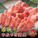 【ふるさと納税】若狭牛やみつき焼肉 300g スタミナUP！健康長寿！ 【若狭牛 国産和牛 黒毛和牛 黒毛和種 ブランド牛 和牛 肉 牛 牛肉 ..