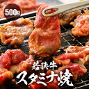 【ふるさと納税】若狭牛スタミナ焼き(味付け)500g(250g×2袋)【若狭牛 すね肉 ばら肉 牛肉 国産和牛 黒毛和牛 ブランド牛 牛 スタミナ 焼き肉 簡単調理 冷凍 小分けパック】