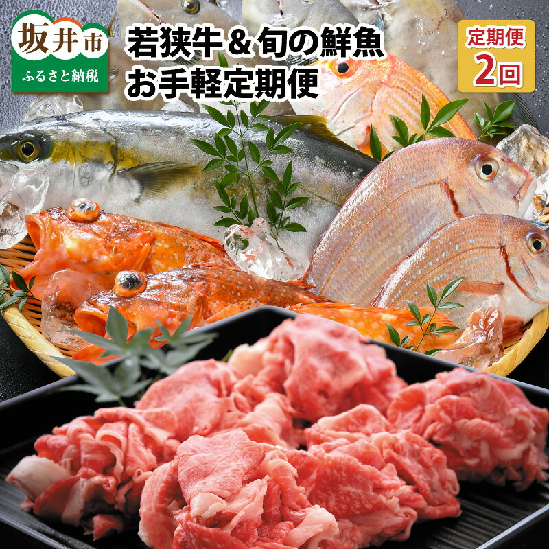 【先行予約】【2ヶ月連続お届け】 若狭牛＆旬の鮮魚 定期便 〜お肉のプロと魚のプロがコラボ〜 【2025年3月上旬以降順次発送予定】