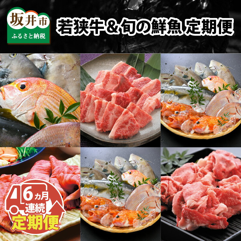 【先行予約】【6ヶ月連続お届け】 若狭牛＆旬の鮮魚 お手軽定期便 〜お肉のプロと魚のプロがコラボ〜【2025年5月以降順次発送開始予定】
