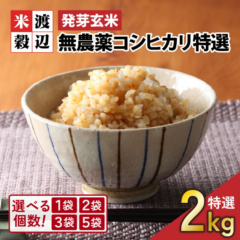 【ふるさと納税】【令和5年産】【発芽玄米】 無農薬コシヒカリ「特選」 特別栽培米使用 1袋 / 2袋 / 3袋 / 5袋 (2kg～10kg) 【選べる個数】【無洗米 米 こしひかり 玄米 ギャバ GABA 無農薬 特別栽培 食物繊維 栄養 真空パック ごはん ご飯 おいしい ふるさと納税米】