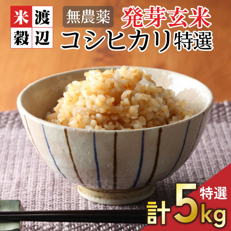 【ふるさと納税】【令和5年産】【発芽玄米】無農薬コシヒカリ特選 真空パック5kg～玄米以上の栄養価と白米に近い柔らかさ～ 【無洗米 米 お米 こしひかり 白米 玄米 ギャバ GABA 無農薬 特別栽培 食物繊維 栄養 ごはん ご飯 おいしい ふるさと納税米】