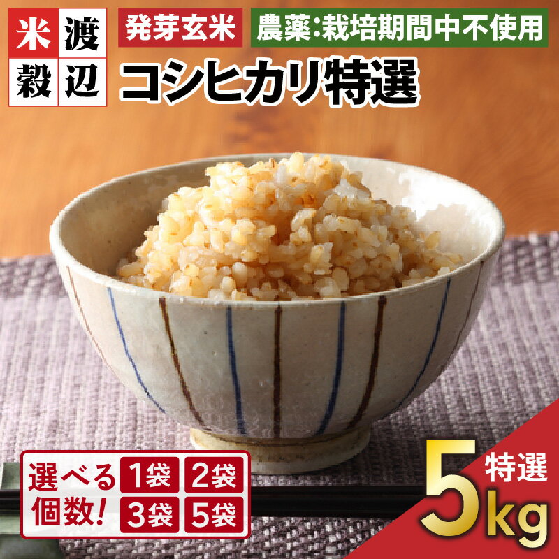 【ふるさと納税】【令和5年産】【発芽玄米】無農薬コシヒカリ特選 真空パック5kg～玄米以上の栄養価と白米に近い柔らかさ～ /玄米 白米 お米のサムネイル
