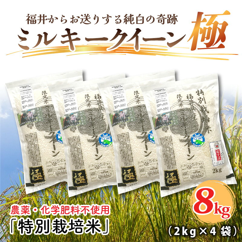 【令和6年産・新米】お米の女王！農薬・化学肥料不使用 特別栽培米 ミルキークイーン極 8kg (2kg × 4袋) / 玄米 白米 お米