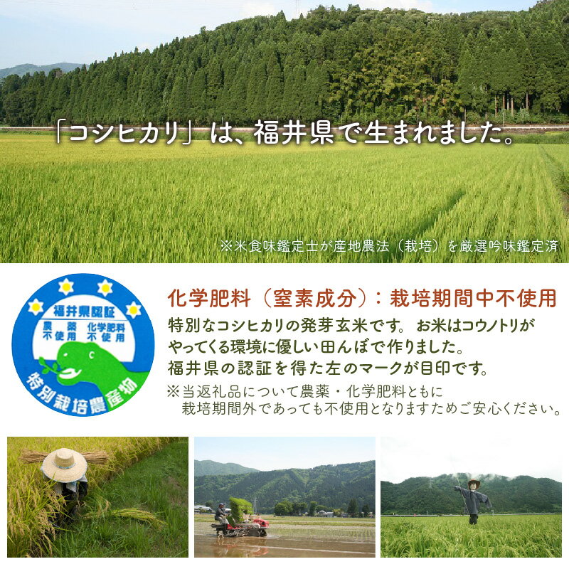 福井県坂井市の画像3