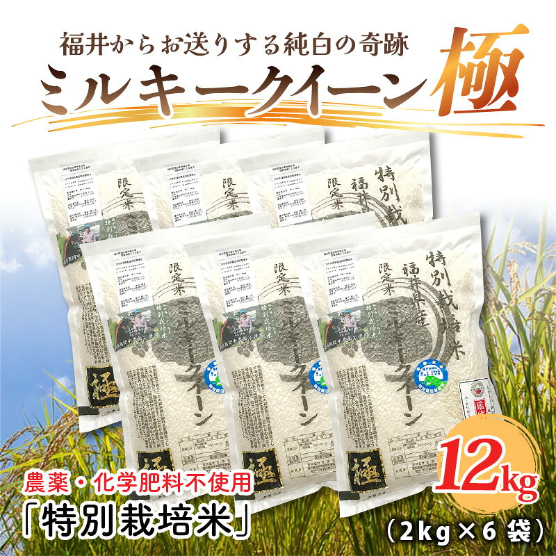 【令和6年産】お米の女王！農薬・化学肥料不使用 特別栽培米 ミルキークイーン極12kg (2kg × 6袋) /玄米 白米 お米