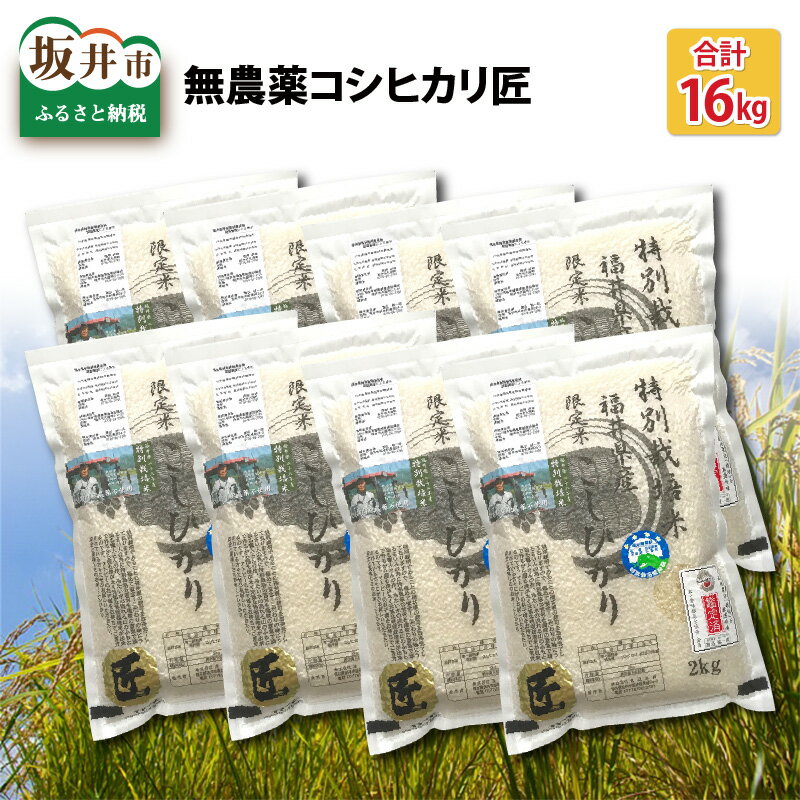 【ふるさと納税】【先行予約】【令和4年産新米】無農薬・無化学肥料栽培コシヒカリ匠 16kg(2kg × 8袋) 【2022年9月下旬以降順次発送予定】/コシヒカリ こしひかり 白米 玄米 お米