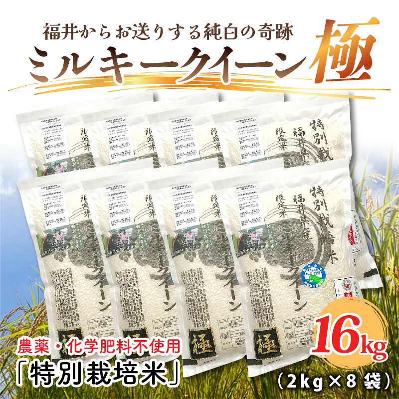 【令和6年産】 お米の女王！農薬・化学肥料不使用 特別栽培米 ミルキークイーン極16kg (2kg × 8袋) /玄米 白米 お米