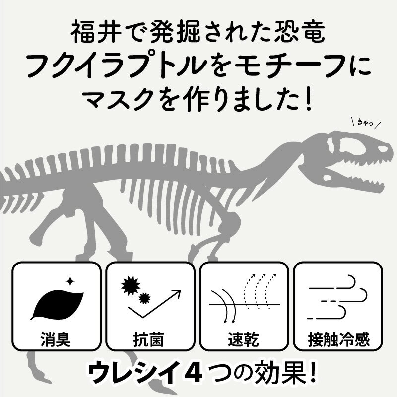 【ふるさと納税】越前織で織られた 「恐竜マスク フクイラプトル」 白・黒　2枚セット