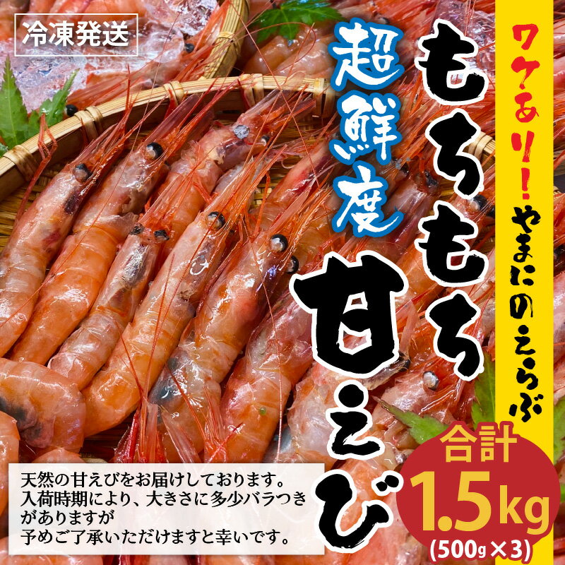 【ふるさと納税】【先行予約】坂井市産 福井県産 国産 海老【とれたて♪なんと1.5キロ♪】唐揚げにすると子供たちが「ママ美味しい〜！！」と叫ぶ 三国港 「やまに」の選ぶ！もちもち甘えび《訳あり品》（クラウドファンディング対象）