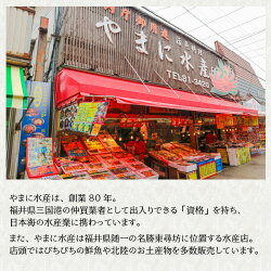 【ふるさと納税】低温熟成 漁師づけ 日本海産の肉厚な刺身用スルメイカで作った「いかの塩辛」 100g × 2パック 画像2