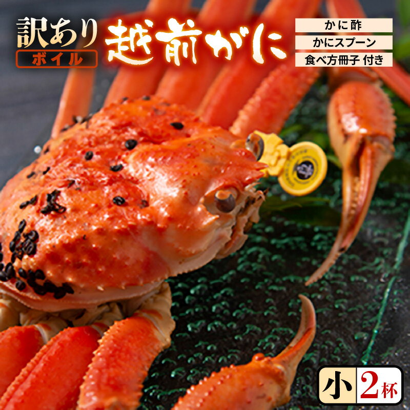 【ふるさと納税】【先行予約】【訳あり】名人が茹でる指折れ訳あり越前がに（小）2杯 (1杯あたり生の状態で約350～400g) やまに仕込み【2023年11月～2024年3月発送】【越前ガニ ズワイガニ ずわいがに 蟹 三国 浜茹で 冬の味覚 かにスプーン】･･･