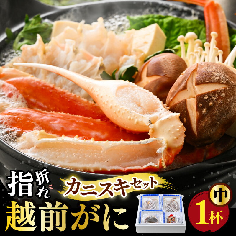 [先行予約][訳あり]超うまい!!指折れ越前がに(中) カニスキセット 1杯 やまに仕込み ※12月発送不可 [2026年11月中旬〜2027年3月発送]
