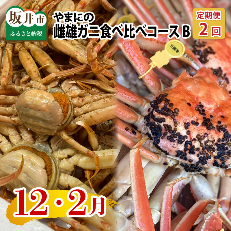 【ふるさと納税】【先行予約】【年2回お届け】 やまにの雌雄ガニ食べ比べ コースB(12月・2月発送)【2025年12月中旬以降順次発送予定】