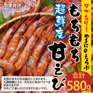 【ふるさと納税】【先行予約】【訳あり】 坂井市産 福井県産 とれたて三国港 やまにの選ぶ もちもち甘えび 580g (国産)【2022年9月上旬以降順次発送予定】