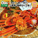 【ふるさと納税】【先行予約】【訳あり】【年3回お届け】 三国港 越前がに三昧 〜茹で!× 鍋!× 茹で!〜 【2025年11月中旬〜2026年3月発送】【越前ガ...
