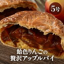 【ふるさと納税】【数量限定】飴色りんごの贅沢アップルパイ 5号ホール:直径15cm (4〜5人前) 850g 【アップルパイ りんご ケーキ 焼き菓子 スイーツ...