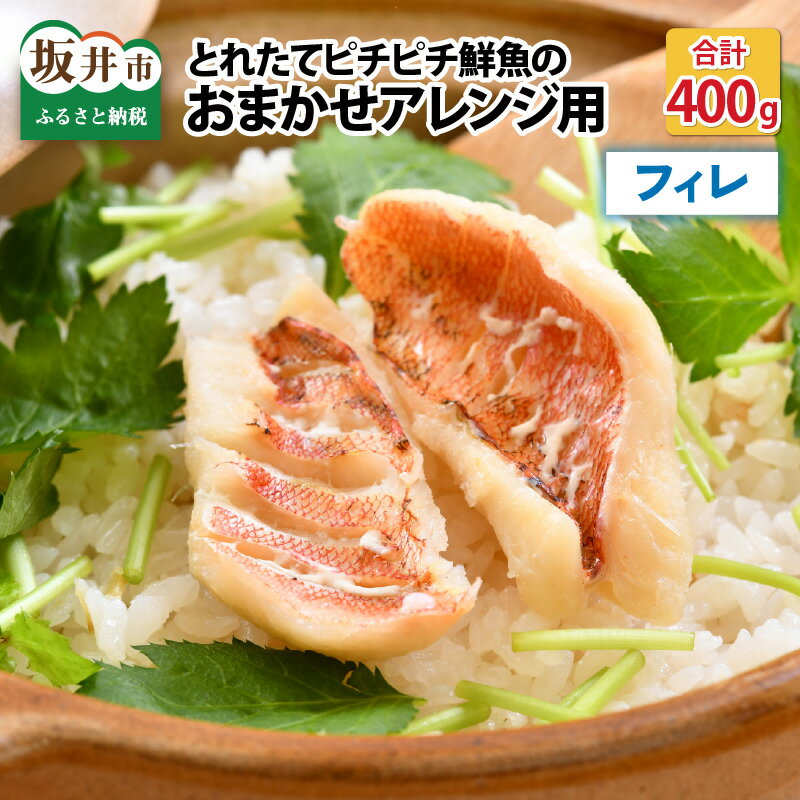 【ふるさと納税】トレピチ鮮魚のお任せアレンジ用（フィレ）20