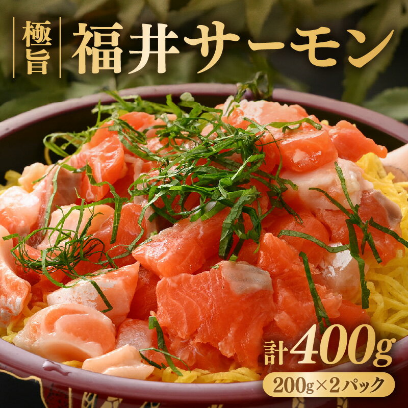 【ふるさと納税】極旨!福井サーモン 計400g(200g × 2パック)【サーモン 鮭 刺身 さけ サケ さかな 魚 人気 海鮮 海鮮食品 小分け お刺身用 生...