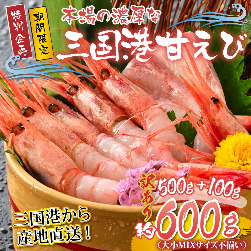 【ふるさと納税】 【特別企画】【訳あり】三国港から産地直送！「三国港甘えび」 500g + 100g 合計約600g ～本場の濃厚な甘海老を是非ご賞味ください！～ 【甘エビ あまえび アマエビ わけあり ワケアリ 濃厚 甘い 刺身 生食可 生 冷凍 有頭 新鮮 魚介類 国産 県産】