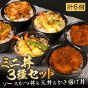 8位! 口コミ数「1件」評価「4」福井自慢のミニ丼ぶり3種セット！チキンソースカツ丼・天丼・かき揚げ丼 各2個 (計6個セット)【かつ丼 丼 どんぶり ソースカツ 天ぷら 天･･･ 