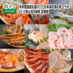 【ふるさと納税】【6ヶ月連続お届け】 エビ三昧＆旬の鮮魚 定期便 ～日本海の海の幸コラボ～【先行予約・2024年3月より発送開始予定】国産 えび 海鮮 画像1