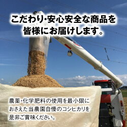 【ふるさと納税】【令和3年産】【選べる精米具合】 コシヒカリ 5kg ～本原農園からまごころコメて～ /白米 玄米 こめ 画像2