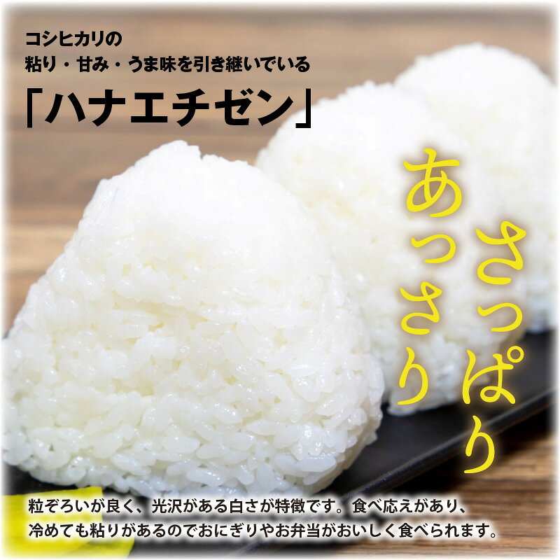 【ふるさと納税】【令和8年産・新米】【白米・玄米選択可】 ハナエチゼン15kg(5kg×3袋) 〜本原農園からまごころコメて〜 / 白米 玄米 こめ f182109-sakai-10001889 福井県坂井市 サンプル画像3