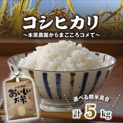 【ふるさと納税】【令和5年産新米】福井県産コシヒカリ5kg【白米・玄米選択可】【選べる精米具合】 コシヒカリ 5kg ～本原農園からまごころコメて～ /白米 玄米 こめ　5キロ･･･ 画像1