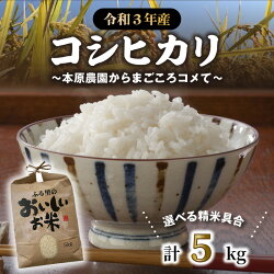 【ふるさと納税】【令和3年産】【選べる精米具合】 コシヒカリ 5kg ～本原農園からまごころコメて～ /白米 玄米 こめ 画像1