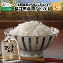 【ふるさと納税】【令和5年産新米】福井県産コシヒカリ5kg【白米・玄米選択可】【選べる精米具合】 コシヒカリ 5kg ～本原農園からまごころコメて～ /白米 玄米 こめ　5キロ･･･