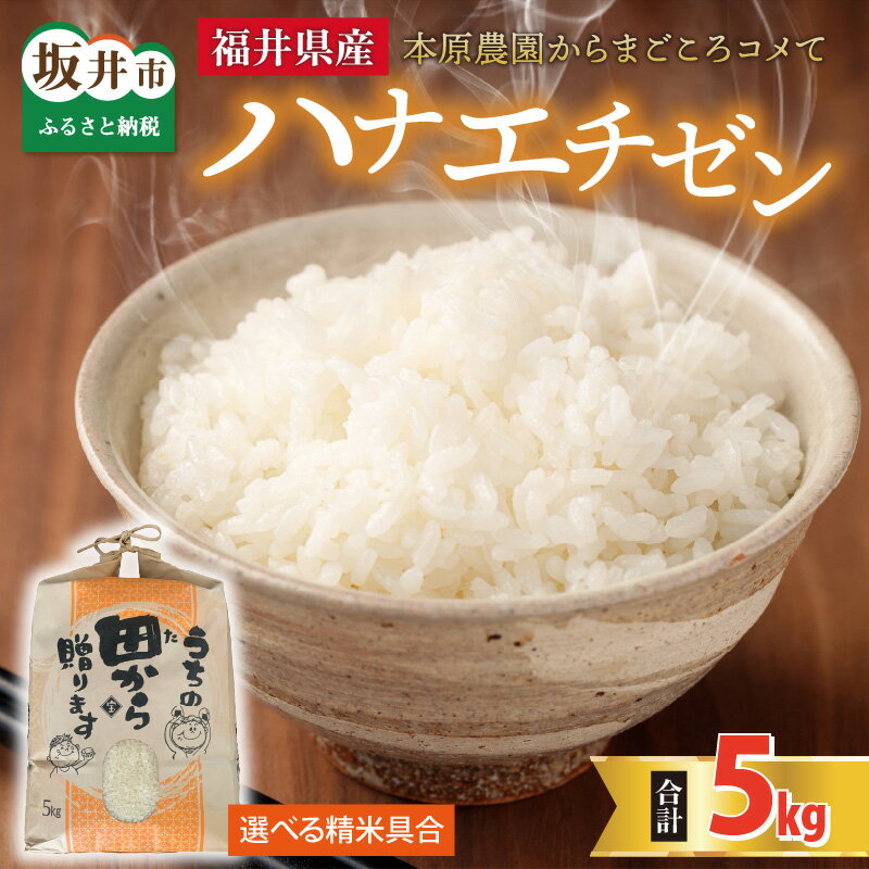 【ふるさと納税】【先行予約】【令和8年産・新米】【白米・玄米選択可】 ハナエチゼン5kg × 1袋 〜本原農園からまごころコメて〜 【2026年9月上旬以降順次発送予定】【お米 白米 玄米 はなえちぜん 5キロ 精米 ブランド米 ごはん ご飯 おいしい ふるさと納税米 産地直送】