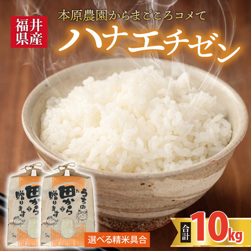 【ふるさと納税】【先行予約】【令和8年産・新米】【白米・玄米選択可】 ハナエチゼン10kg(5kg×2袋) 〜本原農園からまごころコメて〜 【2026年9月上旬以降順次発送予定】 / 白米 玄米 こめ f182109-sakai-10001888 福井県坂井市 サンプル画像2