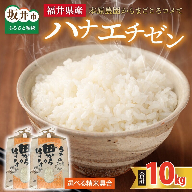 [先行予約][令和6年産・新米][選べる精米具合] ハナエチゼン10kg(5kg×2袋) 〜本原農園からまごころコメて〜 [2024年9月上旬以降発送予定]/ 白米 玄米 こめ