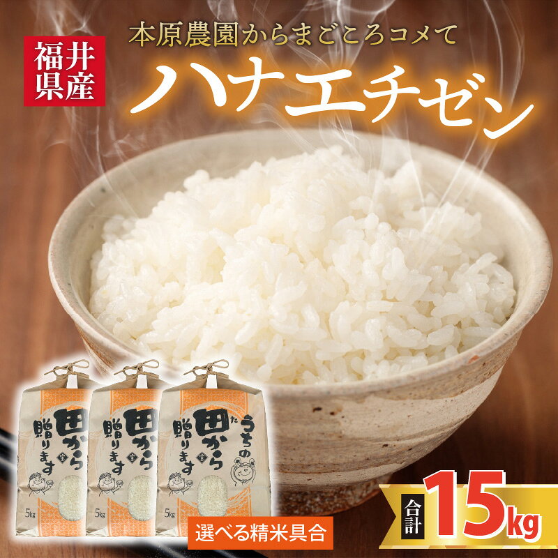 【ふるさと納税】【令和8年産・新米】【白米・玄米選択可】 ハナエチゼン15kg(5kg×3袋) 〜本原農園からまごころコメて〜 / 白米 玄米 こめ f182109-sakai-10001889 福井県坂井市 サンプル画像2